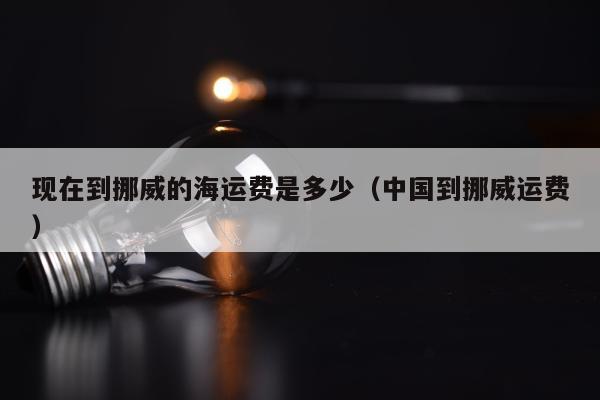 现在到挪威的海运费是多少（中国到挪威运费）