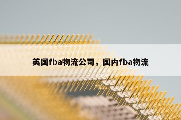 英国fba物流公司，国内fba物流