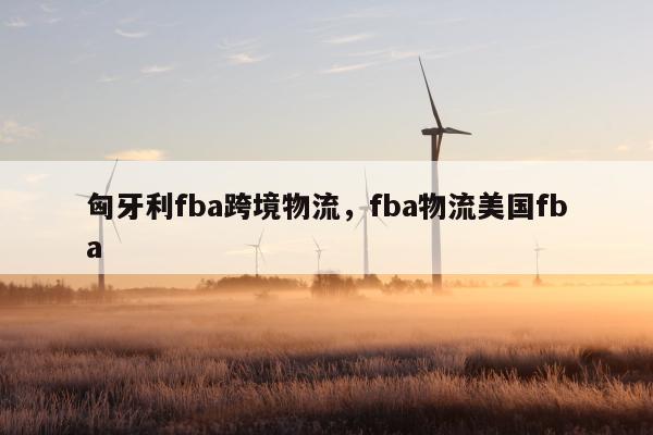 匈牙利fba跨境物流，fba物流美国fba