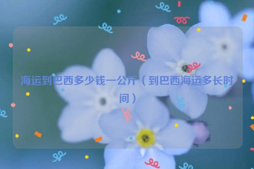 海运到巴西多少钱一公斤（到巴西海运多长时间）