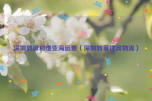 深圳到玻利维亚海运费（深圳到菲律宾物流）