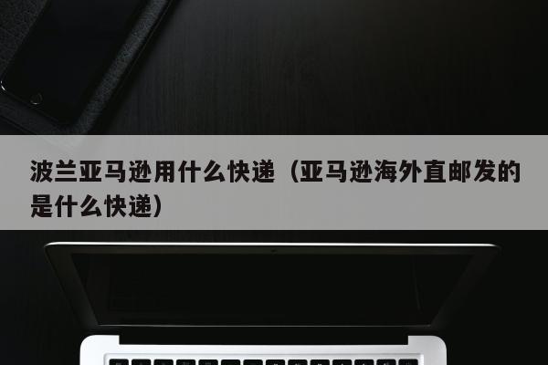 波兰亚马逊用什么快递（亚马逊海外直邮发的是什么快递）