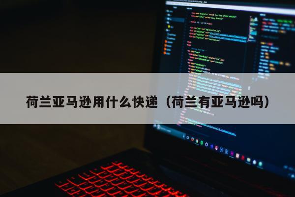 荷兰亚马逊用什么快递（荷兰有亚马逊吗）