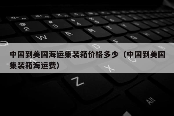 中国到美国海运集装箱价格多少（中国到美国集装箱海运费）