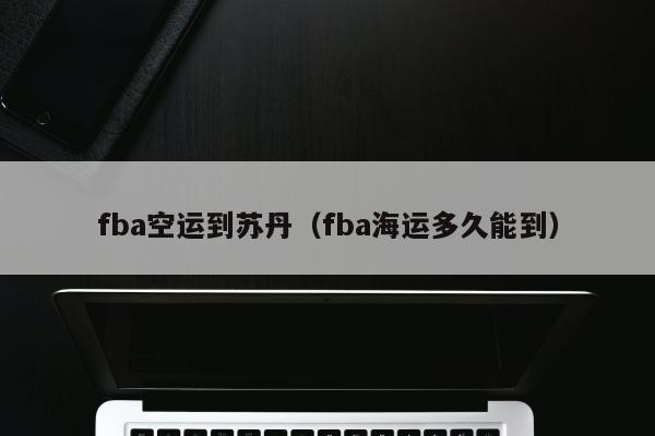 fba空运到苏丹（fba海运多久能到）