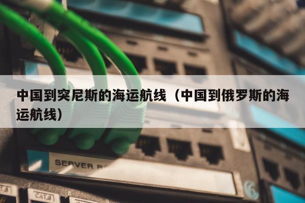 中国到突尼斯的海运航线（中国到俄罗斯的海运航线）