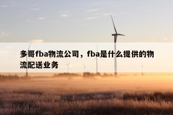 多哥fba物流公司，fba是什么提供的物流配送业务