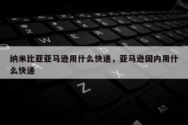 纳米比亚亚马逊用什么快递，亚马逊国内用什么快递